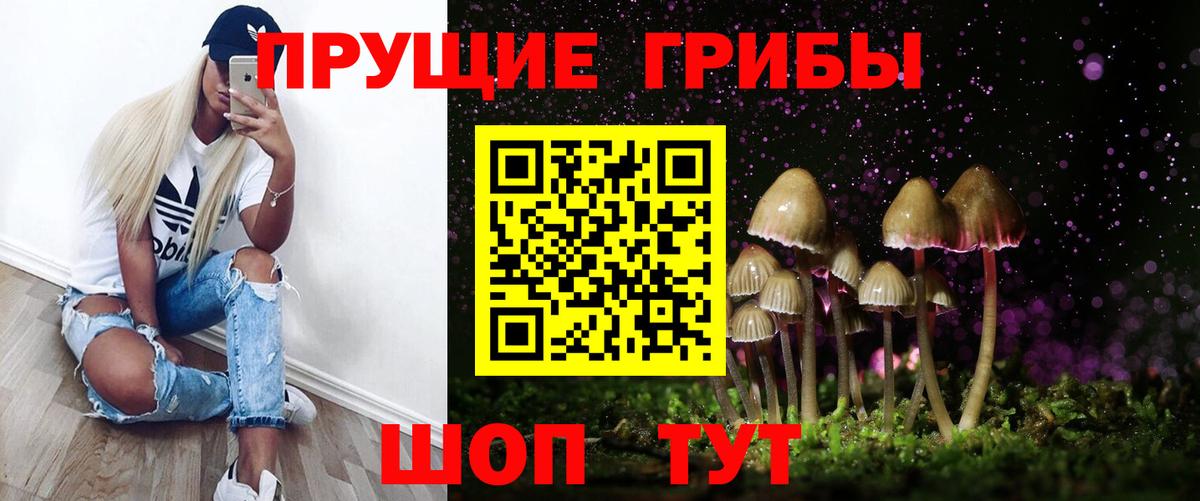 Галлюциногенные грибы мицелий  Псилоцибиновые грибы мицелий  Королёв  Вход с VPN 