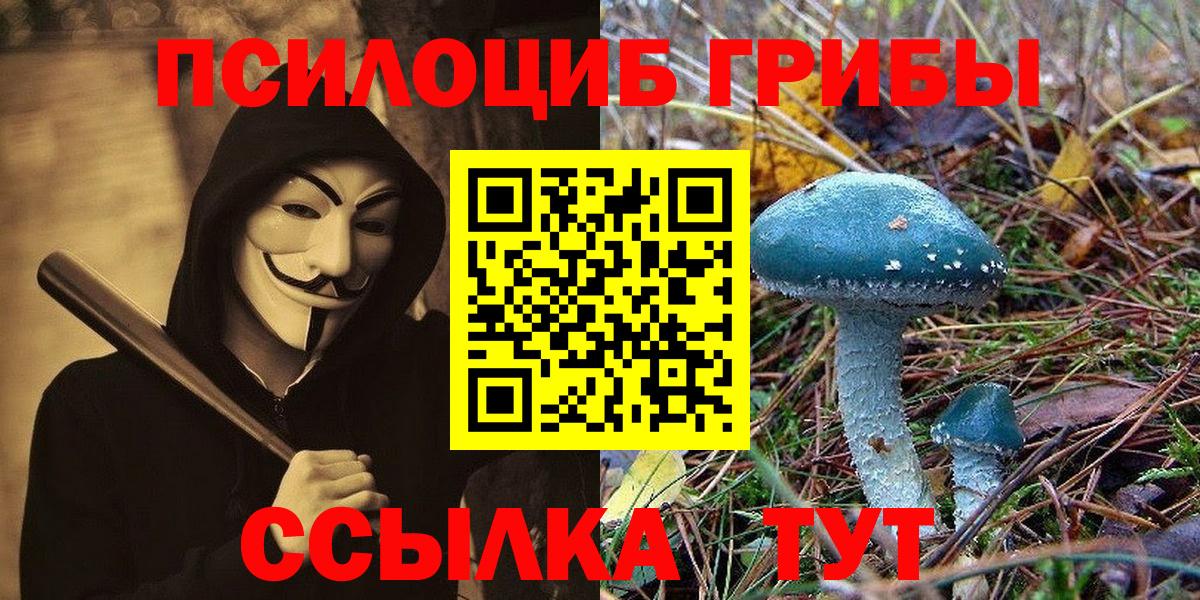 Галлюциногенные грибы Psilocybine cubensis Королёв