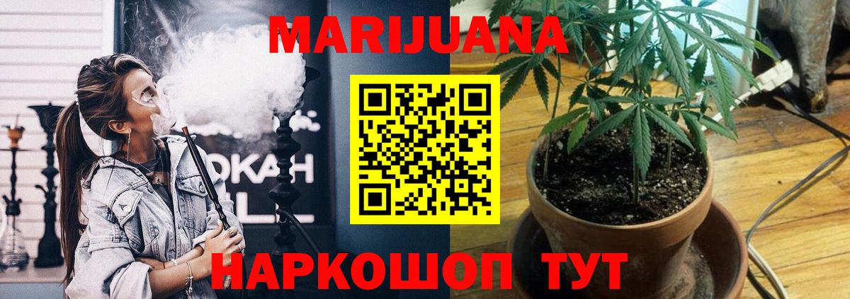 МАРИХУАНА сатива Королёв